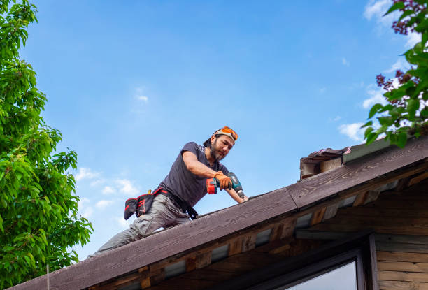 Best Asphalt Shingle Roofing  in Claremont, NC